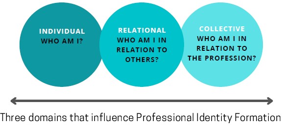 Three circles with the text on each respective one explaining the three domains of Professional Identity Formation. Individual: Who am I? Relational: Who am I in relation to others? Collective: Who am I in relation to the profession?