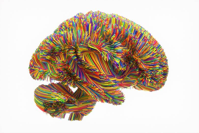 wire brain