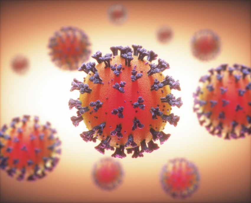 coronavirus microscopic view