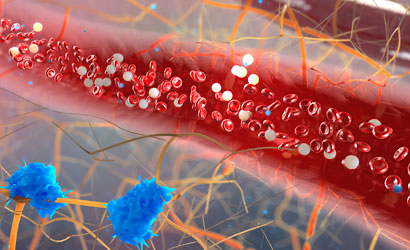 red and white blood cells moving inside blood vessel
