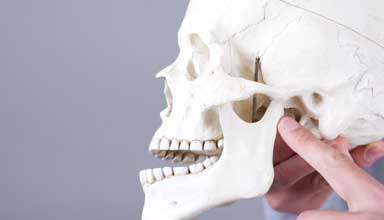 Dental specialist indicating location of jaw joint treatment on model skull